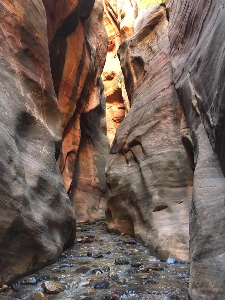 Sunlight glowing on the curved sandstone walls of a narrow slot canyon